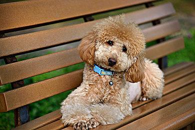 《守望先锋》2025中国电竞激励计划 世界赛夺冠获100万元